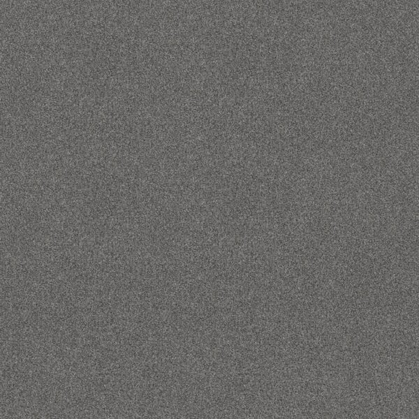 Shaw Floors Carpet Comforting I Pencil Point 00530_5E749