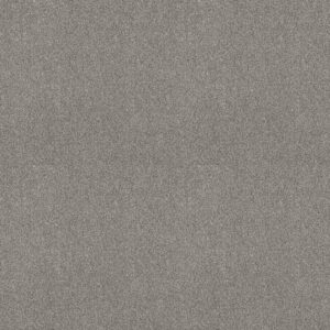 Shaw Floors Carpet Comforting I Stepping Stone 00535_5E749