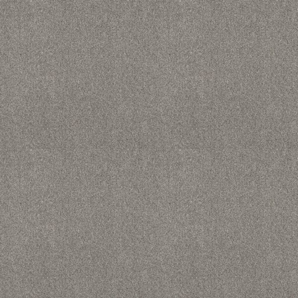 Shaw Floors Carpet Comforting I Stepping Stone 00535_5E749
