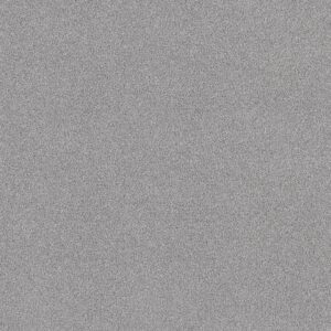 Shaw Floors Carpet Comforting I Foil 00548_5E749
