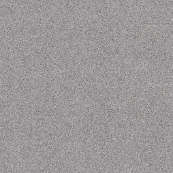 Shaw Floors Carpet Comforting I Foil 00548_5E749