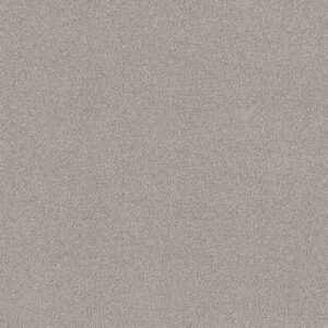 Shaw Floors Carpet Comforting I Shimmer 00549_5E749