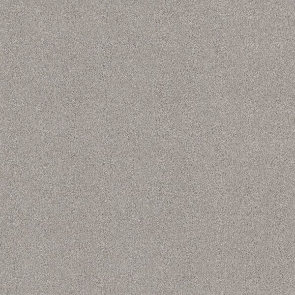 Shaw Floors Carpet Comforting I Shimmer 00549_5E749