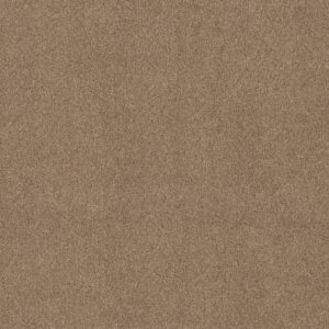 Shaw Floors Carpet Comforting I Studio 00730_5E749