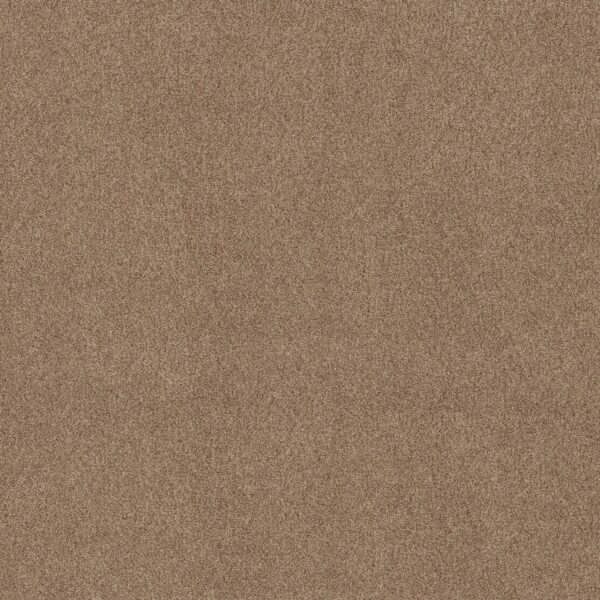 Shaw Floors Carpet Comforting I Studio 00730_5E749