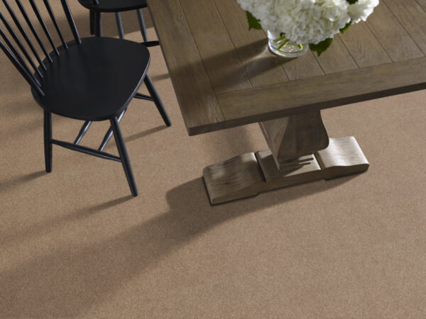 Shaw Floors Carpet Comforting I Studio 00730_5E749 - Image 2