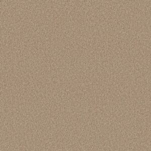 Shaw Floors Carpet Comforting I Picket Fence 00731_5E749