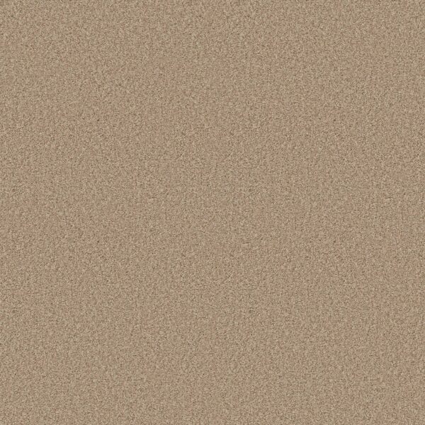Shaw Floors Carpet Comforting I Picket Fence 00731_5E749