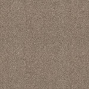Shaw Floors Carpet Comforting I Boardwalk 00732_5E749