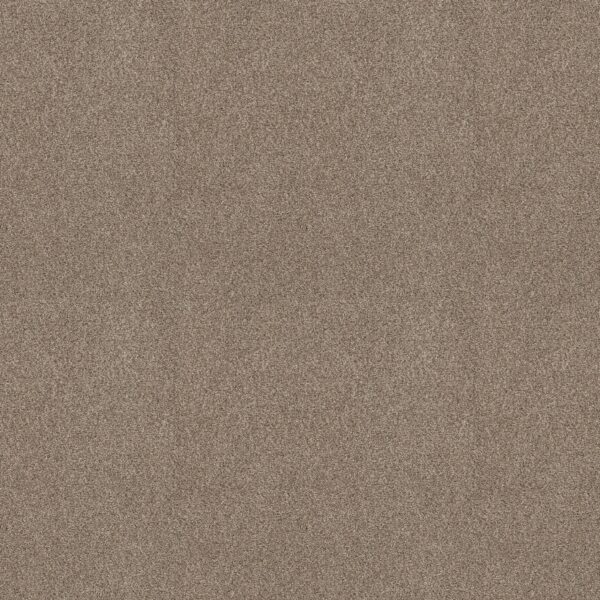 Shaw Floors Carpet Comforting I Boardwalk 00732_5E749