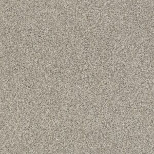 Shaw Floors Carpet Comforting I Rustic 00734_5E749
