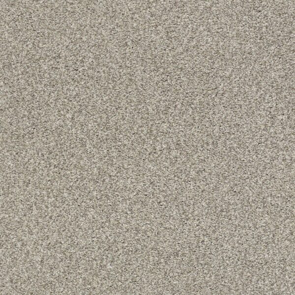 Shaw Floors Carpet Comforting I Rustic 00734_5E749