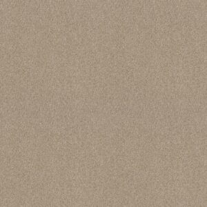 Shaw Floors Carpet Comforting I Wild Rice 00742_5E749