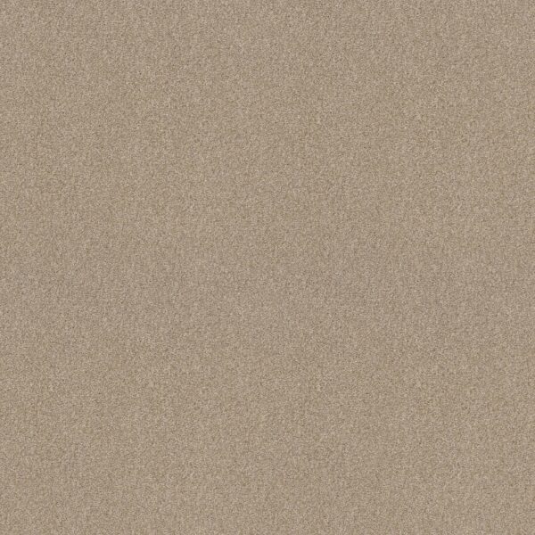 Shaw Floors Carpet Comforting I Wild Rice 00742_5E749