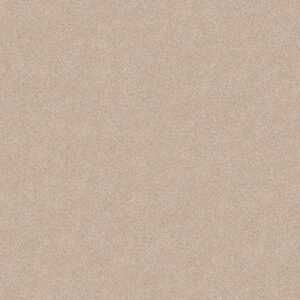 Shaw Floors Carpet Comforting I Shadow 00753_5E749