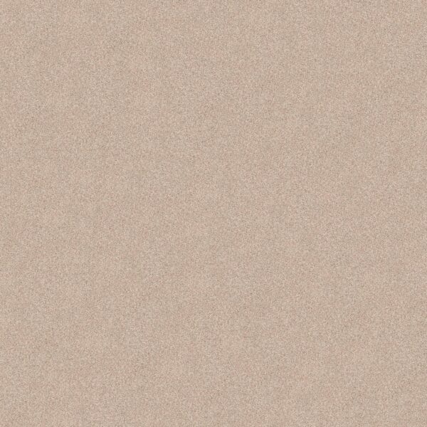 Shaw Floors Carpet Comforting I Shadow 00753_5E749