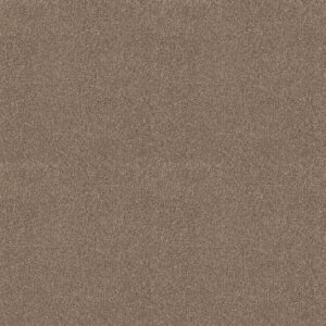 Shaw Floors Carpet Comforting I Riverbank 00759_5E749
