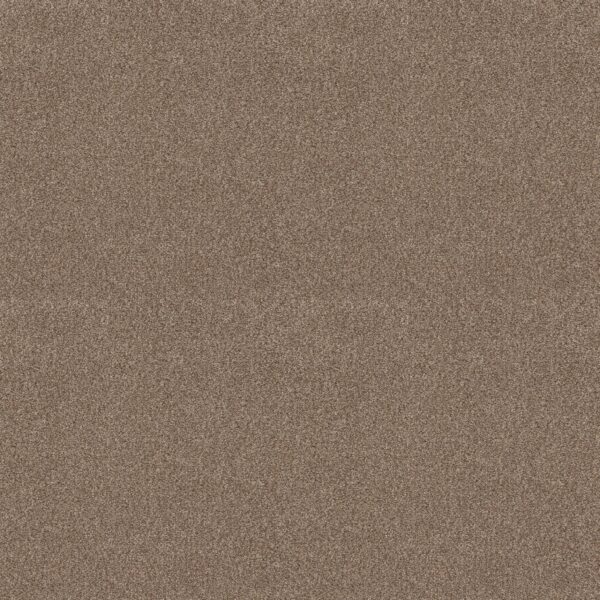 Shaw Floors Carpet Comforting I Riverbank 00759_5E749