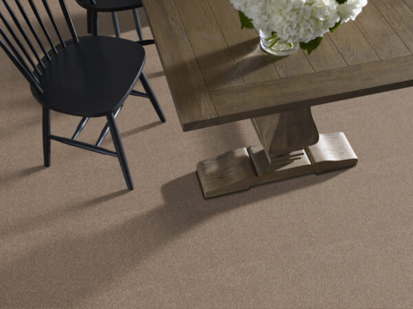 Shaw Floors Carpet Comforting I Riverbank 00759_5E749 - Image 2