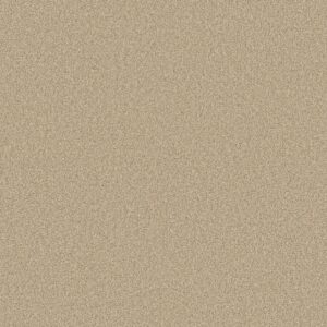 Shaw Floors Carpet Comforting II Sesame Seed 00130_5E750