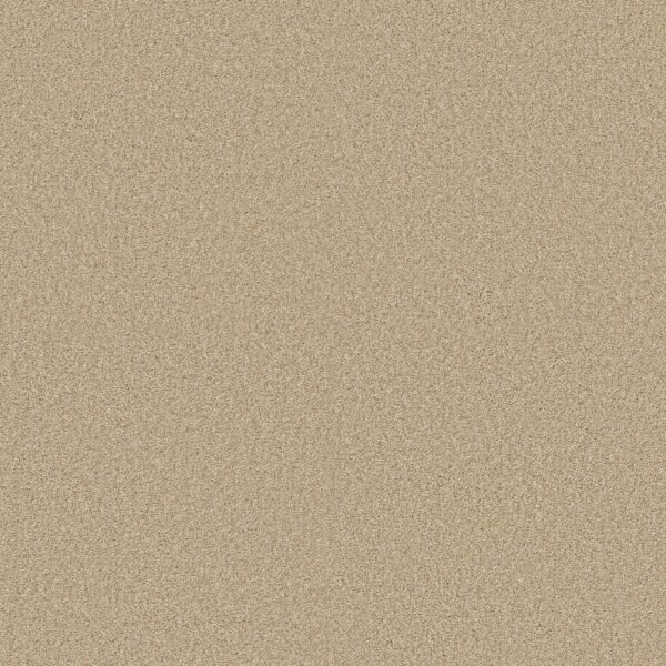Shaw Floors Carpet Comforting II Sesame Seed 00130_5E750