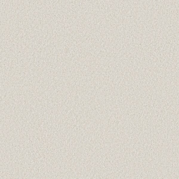 Shaw Floors Carpet Comforting II Pearly Gates 00142_5E750