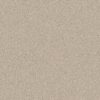 Shaw Floors Carpet Comforting II Mesa 00143_5E750