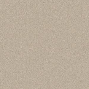 Shaw Floors Carpet Comforting II Mesa 00143_5E750