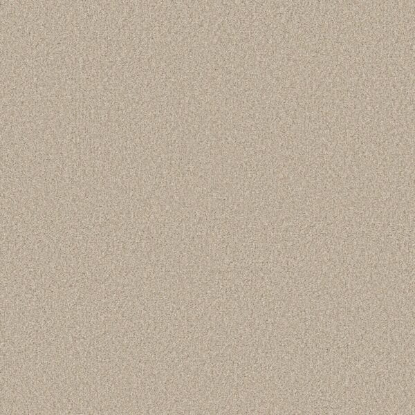 Shaw Floors Carpet Comforting II Mesa 00143_5E750