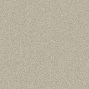 Shaw Floors Carpet Comforting II Parchment 00144_5E750