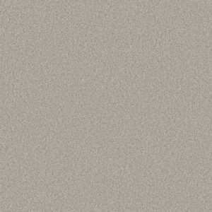 Shaw Floors Carpet Comforting II French Buff 00146_5E750