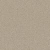 Shaw Floors Carpet Comforting II Chamois 00147_5E750