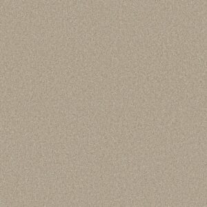 Shaw Floors Carpet Comforting II Chamois 00147_5E750