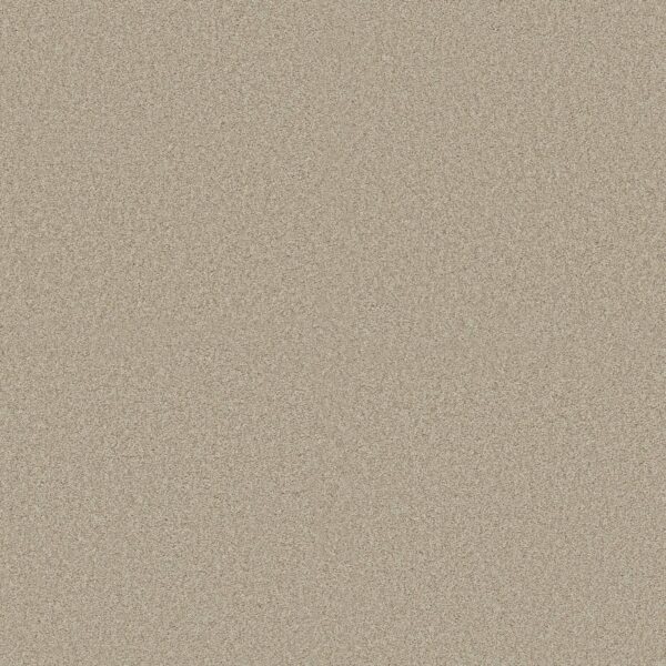 Shaw Floors Carpet Comforting II Chamois 00147_5E750