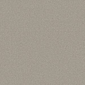 Shaw Floors Carpet Comforting II Anonymous 00148_5E750