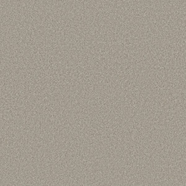 Shaw Floors Carpet Comforting II Anonymous 00148_5E750