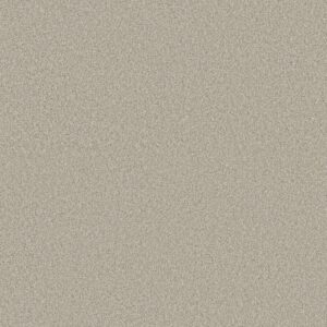 Shaw Floors Carpet Comforting II Dainty Lace 00149_5E750