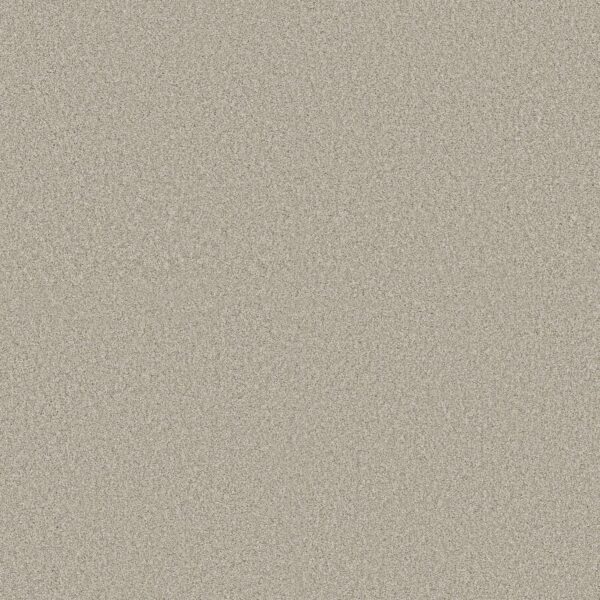 Shaw Floors Carpet Comforting II Dainty Lace 00149_5E750