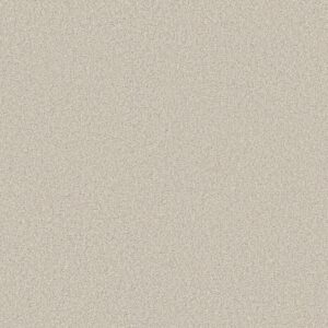 Shaw Floors Carpet Comforting II Porcelain 00163_5E750