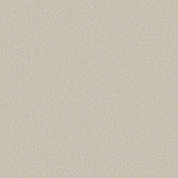 Shaw Floors Carpet Comforting II Porcelain 00163_5E750
