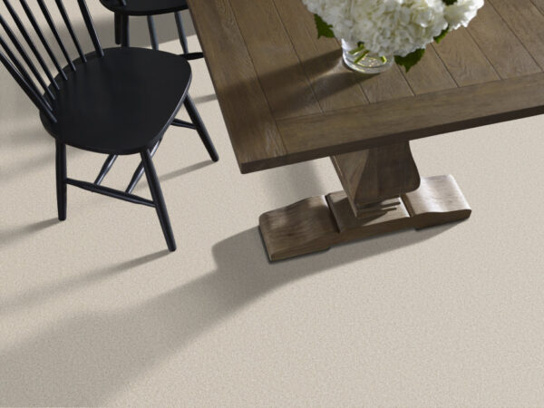 Shaw Floors Carpet Comforting II Porcelain 00163_5E750 - Image 2