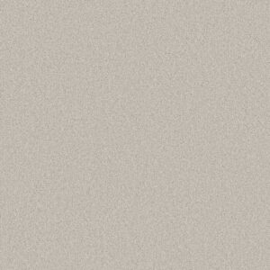 Shaw Floors Carpet Comforting II Thin Ice 00164_5E750