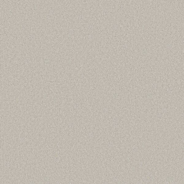 Shaw Floors Carpet Comforting II Thin Ice 00164_5E750