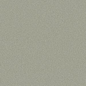 Shaw Floors Carpet Comforting II Sage Brush 00340_5E750