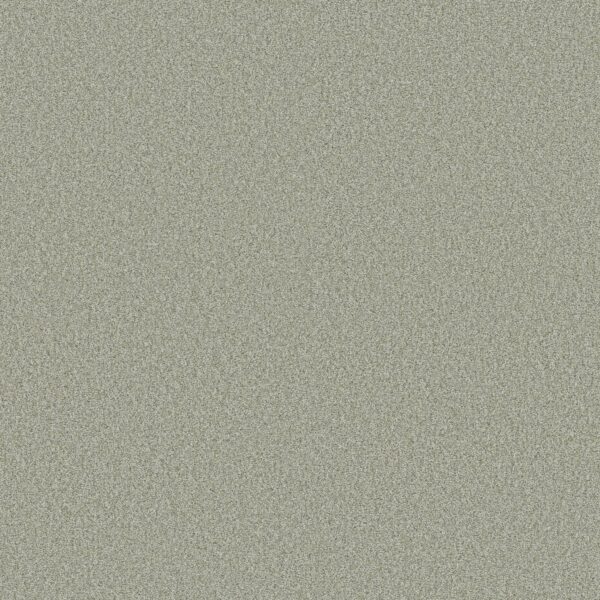 Shaw Floors Carpet Comforting II Sage Brush 00340_5E750