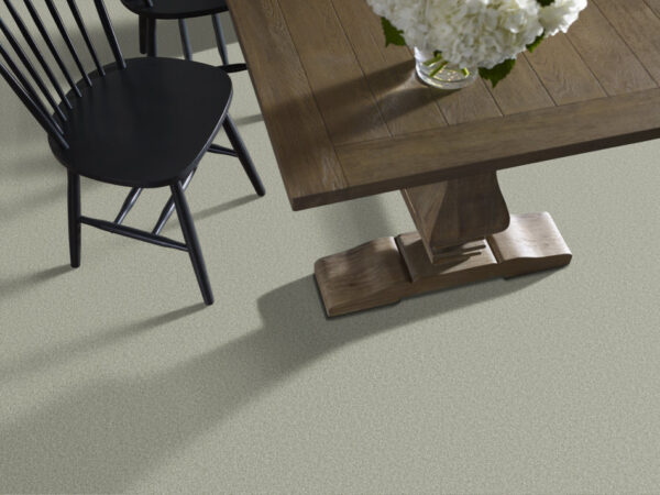 Shaw Floors Carpet Comforting II Sage Brush 00340_5E750 - Image 2