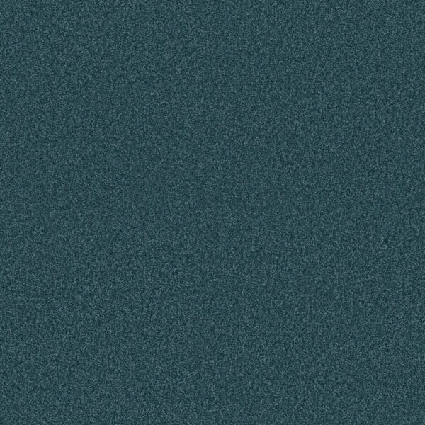Shaw Floors Carpet Comforting II Tailwind 00444_5E750