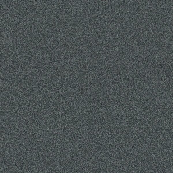 Shaw Floors Carpet Comforting II Extreme 00450_5E750