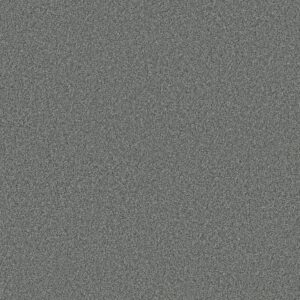 Shaw Floors Carpet Comforting II Pencil Point 00530_5E750