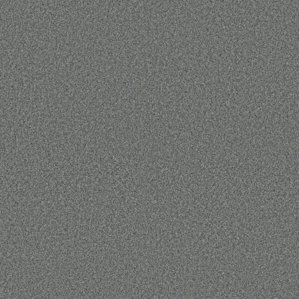 Shaw Floors Carpet Comforting II Pencil Point 00530_5E750